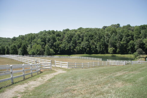 Fields for horses